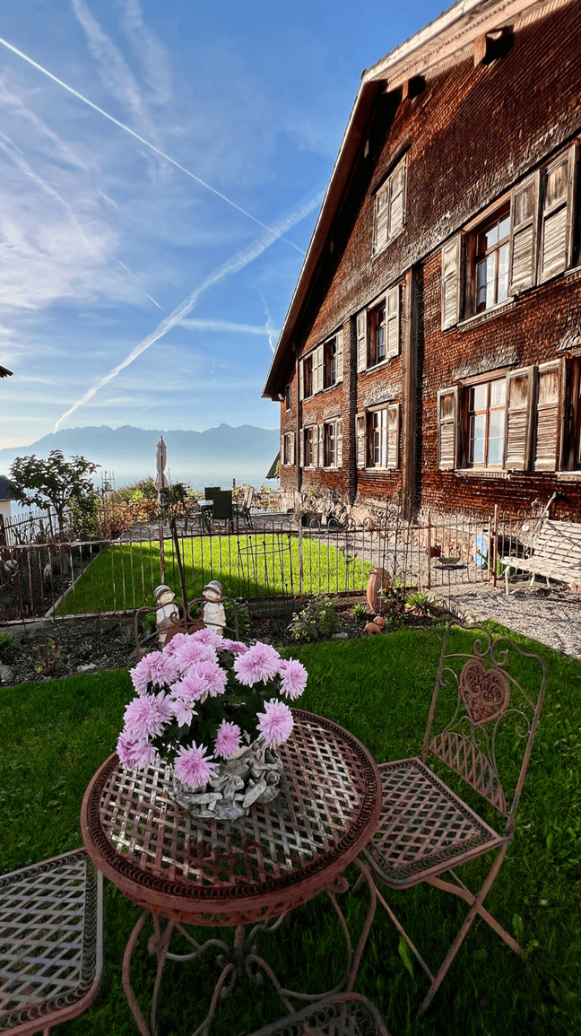 IMG_summer_4_IMG_2156